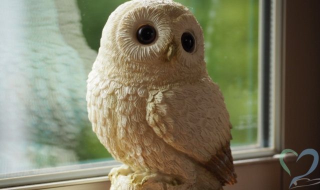フクロウの置物