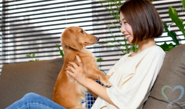 犬とスキンシップ