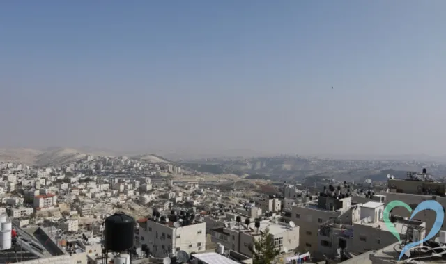 パレスチナで人探し｜大切な人の居場所を特定する方法を解説