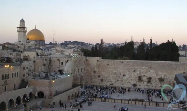 パレスチナで人探し｜大切な人の居場所を特定する方法を解説