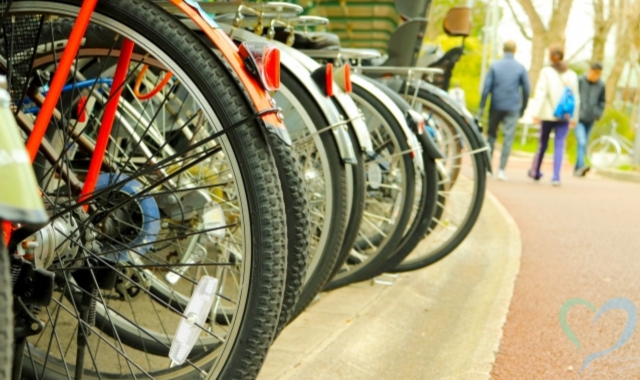 日常生活の確認