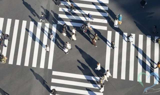 市役所の住民票や戸籍で人探しはできる？具体的な手順と調査方法