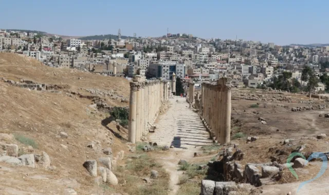 ヨルダン人探しの相談窓口｜現地治安から安全な調査手法まで完全網羅