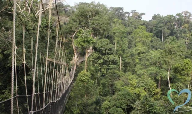 ガーナで人探し｜行方不明者を安全に見つける方法とは？【相談窓口】