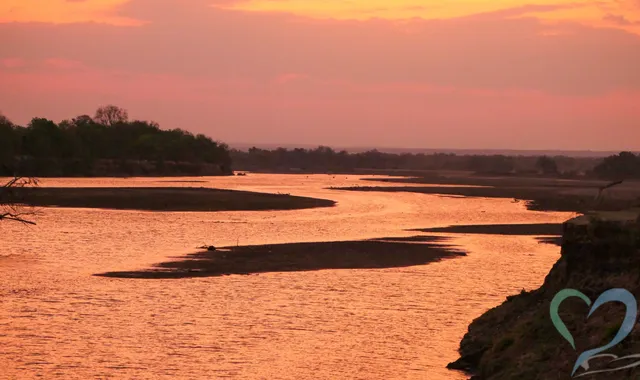 コートジボワールでの人探しの実態|効果的な捜索方法や注意点とは?