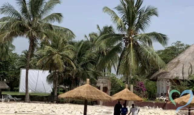 セネガルで人探しは可能?国際調査のプロが治安や安全な方法を解説