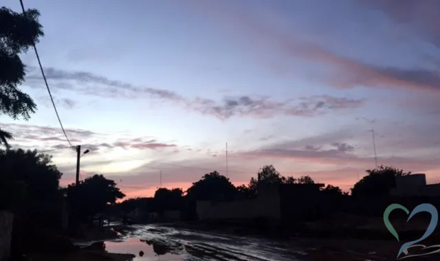 セネガルで人探しは可能?国際調査のプロが治安や安全な方法を解説