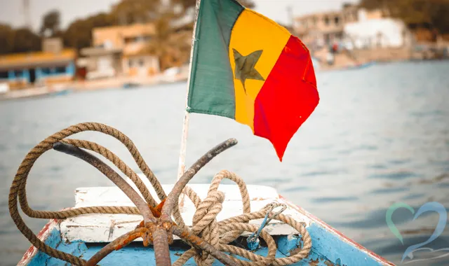 セネガルで人探しは可能?国際調査のプロが治安や安全な方法を解説