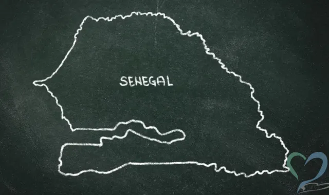 セネガルで人探しは可能?国際調査のプロが治安や安全な方法を解説