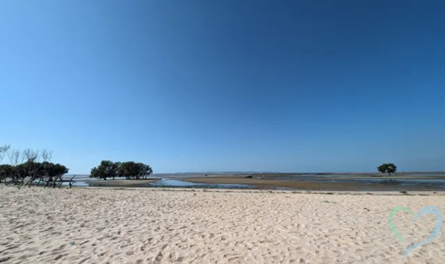 ソマリアでの人探し｜行方不明者を探す方法と注意点を専門家が解説