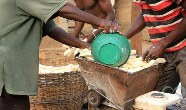 マリでの人探しは、治安の悪化やテロの脅威、情報統制などにより、個人で行うには非常に危険です。西アフリカ「マリ」の現在の治安や人探しを安全に行う方法などを、海外調査の経験豊富な当事務所が解説します。