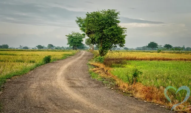 マリでの人探しは、治安の悪化やテロの脅威、情報統制などにより、個人で行うには非常に危険です。西アフリカ「マリ」の現在の治安や人探しを安全に行う方法などを、海外調査の経験豊富な当事務所が解説します。