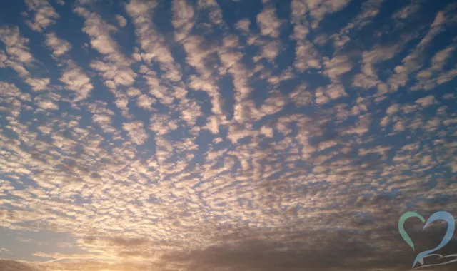 【リビアの人探し】行方不明者はどう探す？混乱地域での探索方法