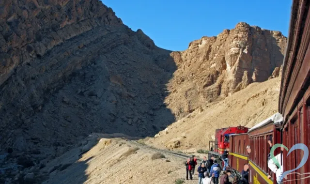 チュニジアの人探し方法｜現在の治安状況や現地調査の依頼手順を解説