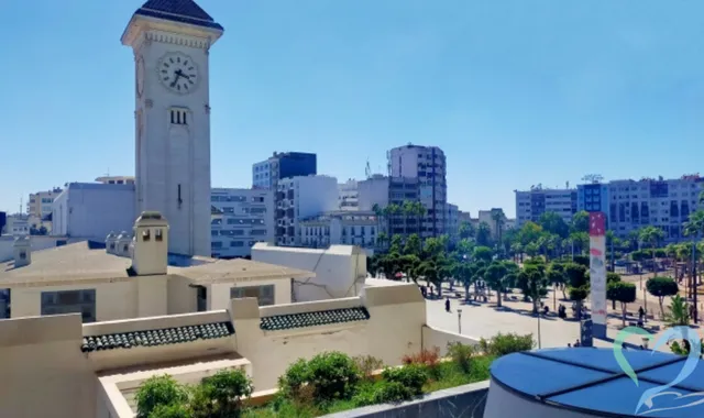 モロッコの人探しは困難？成功の鍵は情報収集と現地調査【相談窓口】