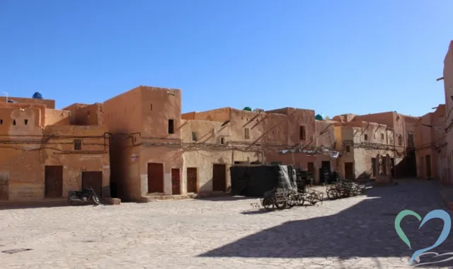 アルジェリア人探し調査のプロが教える！安全に見つける方法とは？