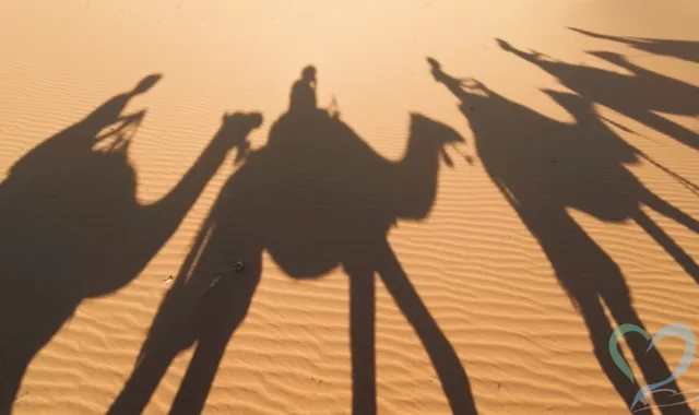 アルジェリア人探し調査のプロが教える！安全に見つける方法とは？