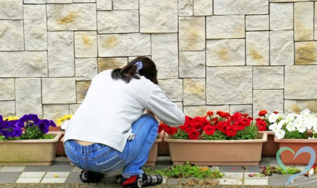 妻が突然いなくなる心理とは？夫が見逃しがちな前兆・原因・対処法を解説